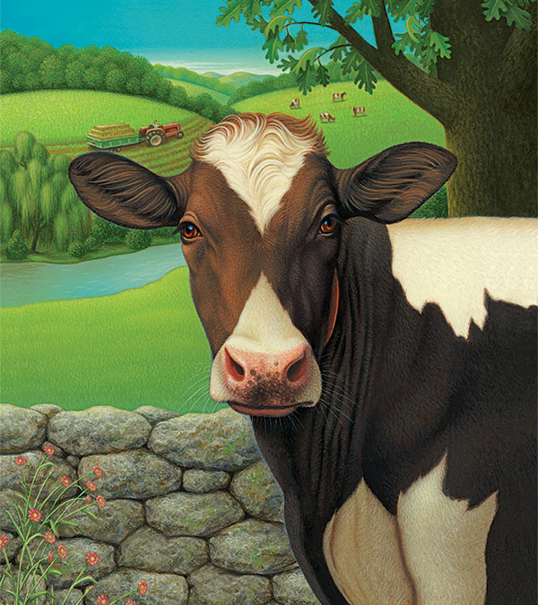The Farmer's Cow