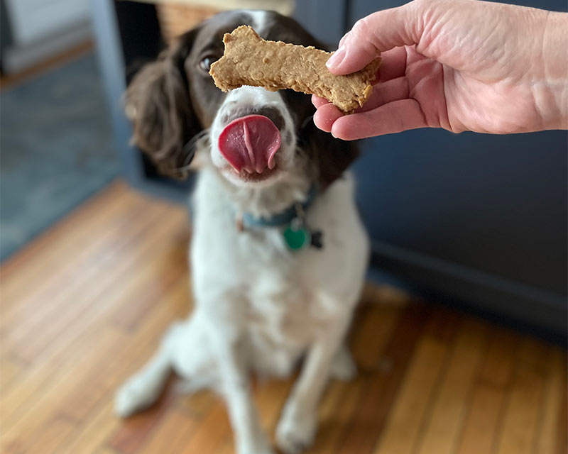 Wholesome Farm Dog Treats